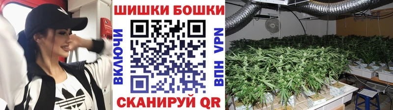 Конопля планчик  Руза 
